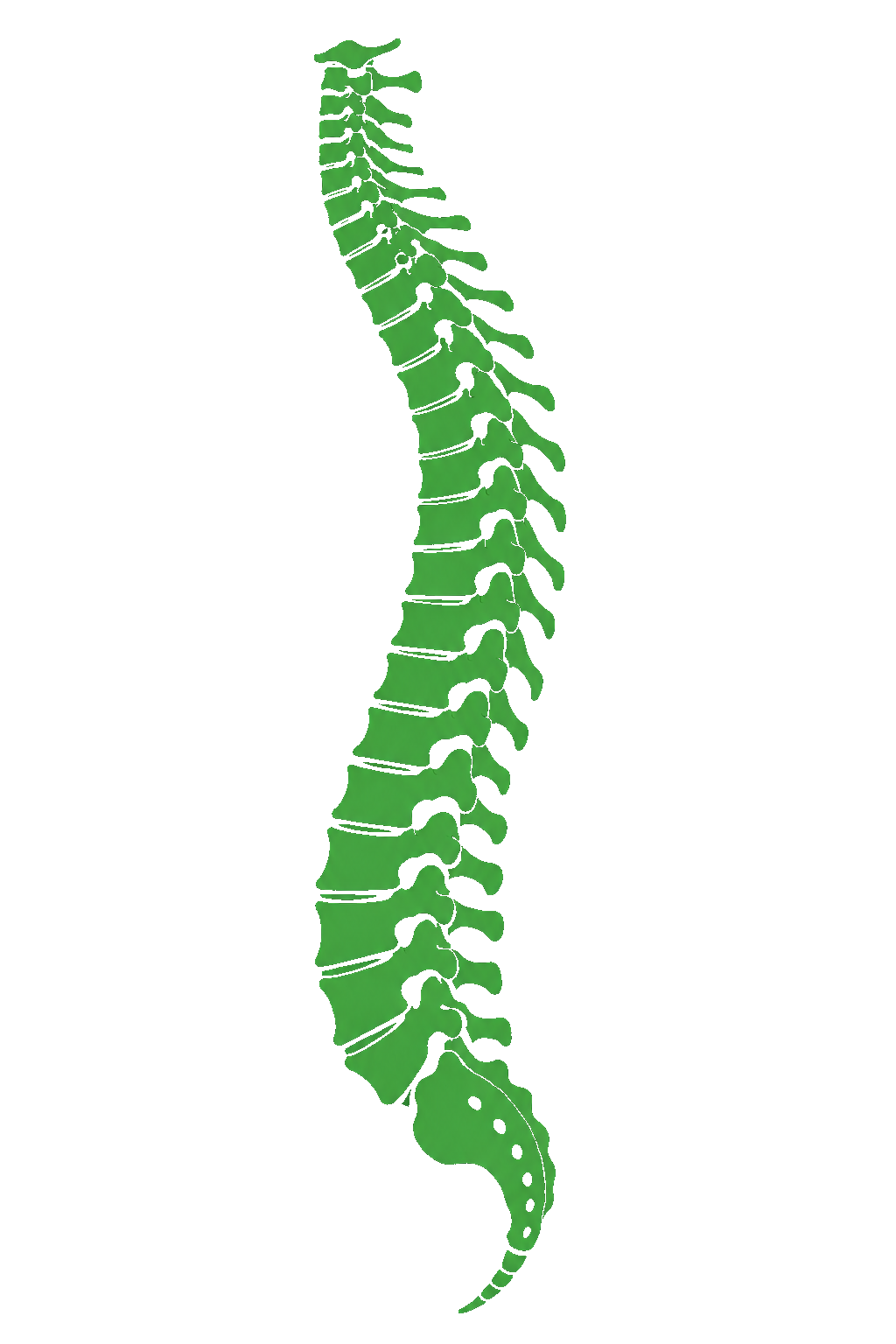 Spine Surgery